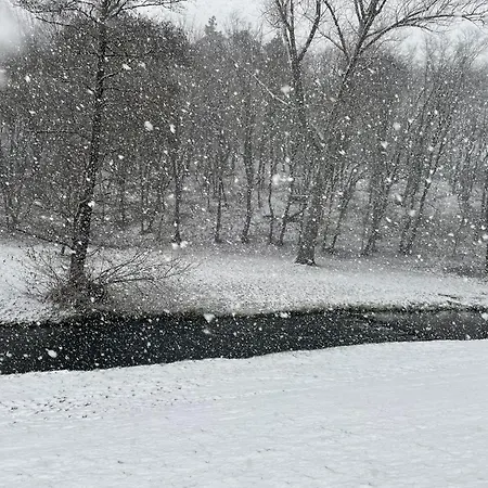 Сasa de vacaciones River Wellness Jince